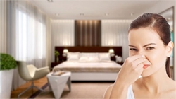 Cách khử mùi hôi của phòng ngủ hiệu quả nên áp dụng
