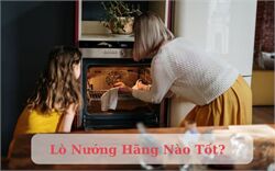 Lò Nướng Hãng Nào Tốt? Các Tiêu Chí Để Lựa Chọn Sản Phẩm