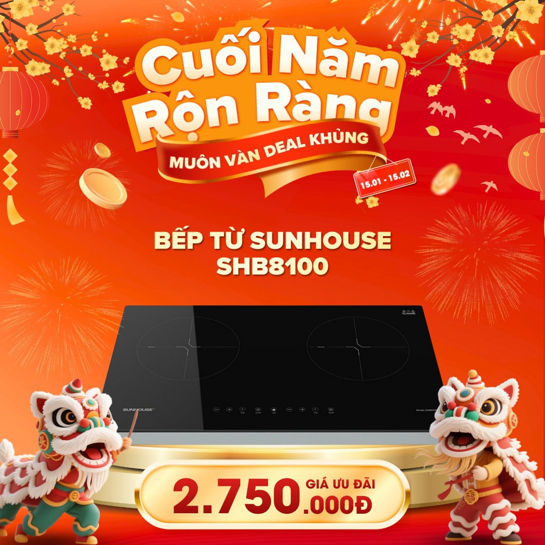 TOP Bếp Từ Giá Tốt Dịp Cuối Năm – Phù Hợp Gia Đình Việt Đón Tết