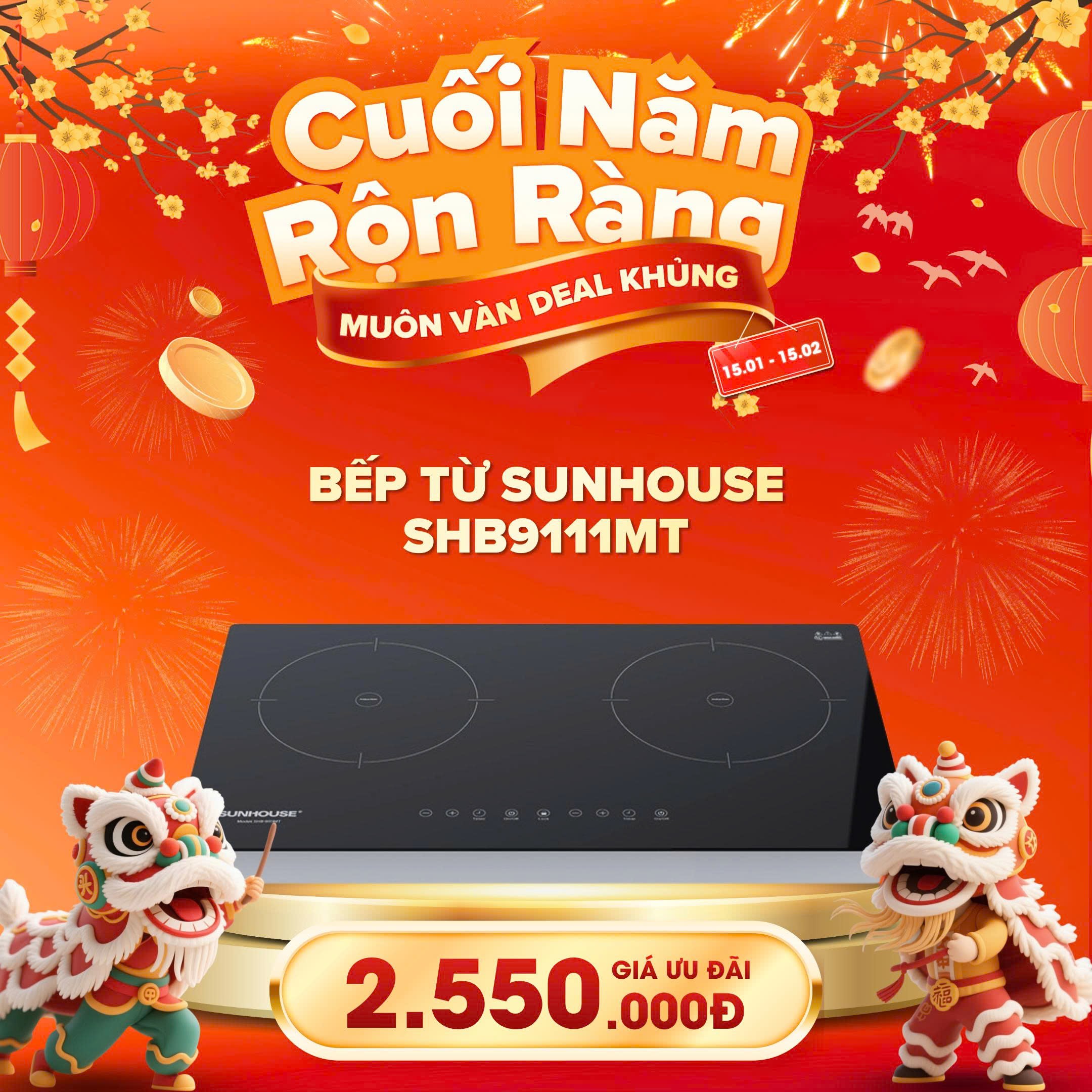 TOP Bếp Từ Giá Tốt Dịp Cuối Năm – Phù Hợp Gia Đình Việt Đón Tết