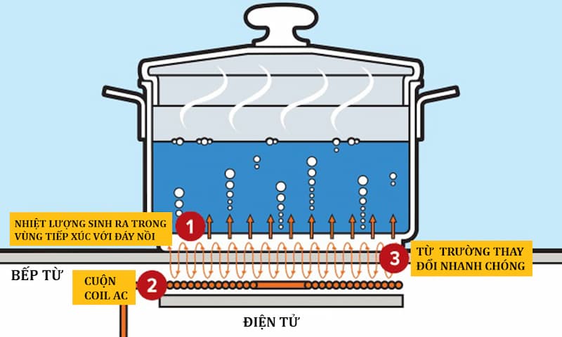 cách sử dụng bếp từ Bosch