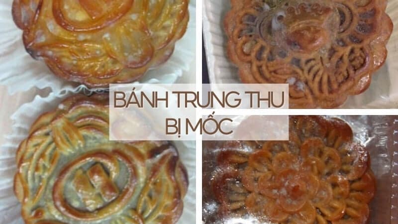 Cách Làm Bánh Trung Thu Tại Nhà: Tự Tay Tạo Khoảnh Khắc Ngọt Ngào Mùa Đoàn Viên