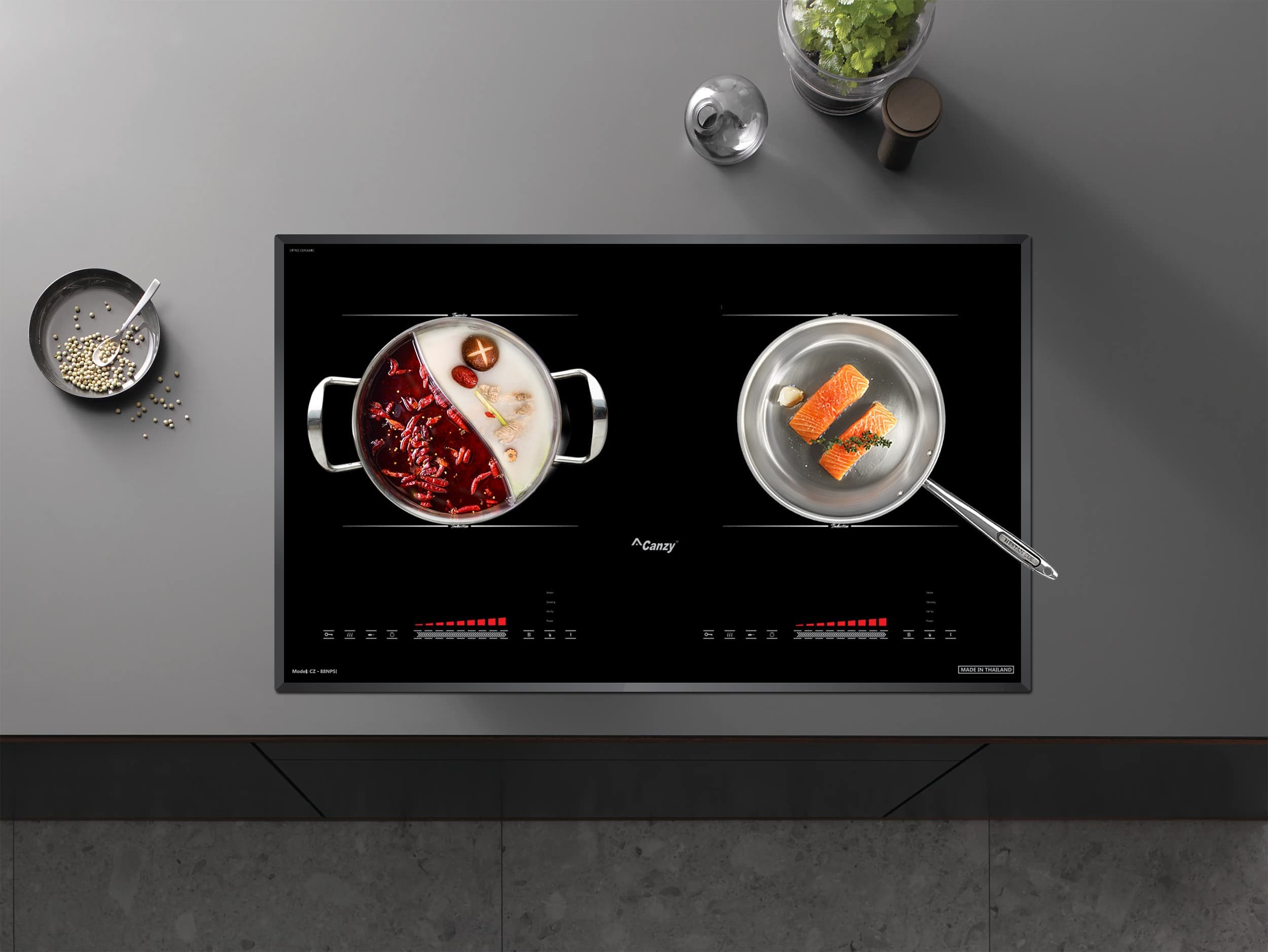 Bếp Từ CANZY CZ 88NPSI
