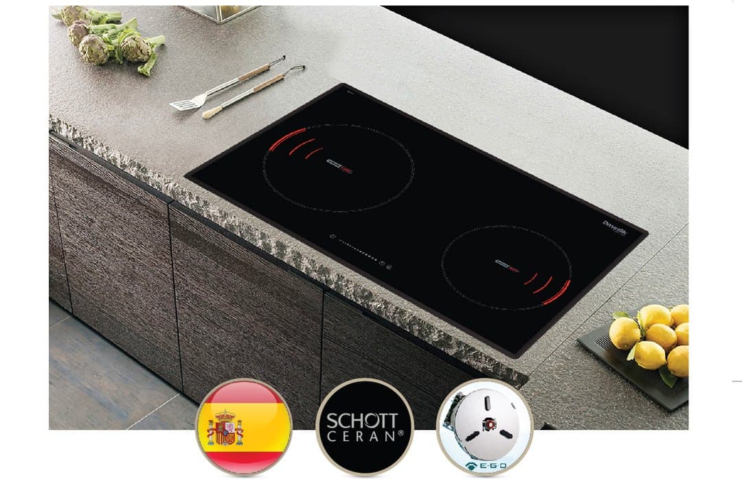 Bếp Từ D'mestik ES899 DKI