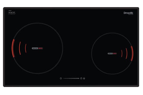 Bếp Từ D'mestik ES899 DKI